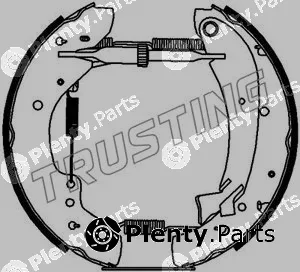 Trusting 6204 — Brake Shoe Set Kit premounted