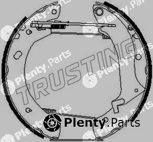 Trusting 6290 — Brake Shoe Set Kit premounted