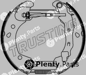 Trusting 6396 — Brake Shoe Set Kit premounted