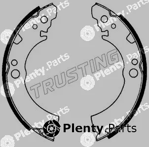 Trusting 067.163 — Brake Shoe Set