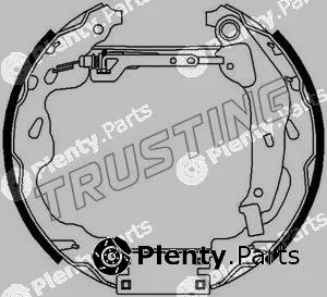 Trusting 6309 — Brake Shoe Set Kit premounted