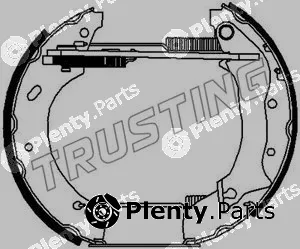 Trusting 6105 — Brake Shoe Set Kit premounted