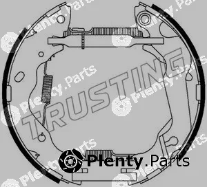 Trusting 6346 — Brake Shoe Set Kit premounted