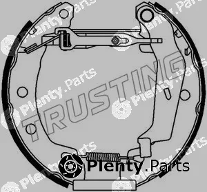 Trusting 6149 — Brake Shoe Set Kit premounted