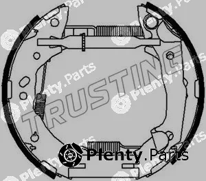 Trusting 6449 — Brake Shoe Set Kit premounted