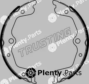 Trusting 049.167 — Brake Shoe Set, parking brake