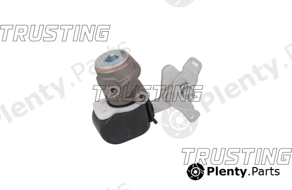 Trusting CT049 — Brake Force Regulator