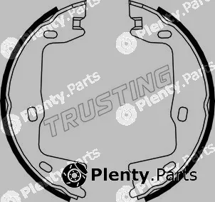 Trusting 073.159 — Brake Shoe Set, parking brake