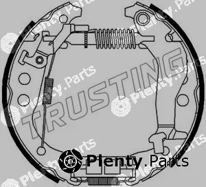 Trusting 6315 — Brake Shoe Set Kit premounted