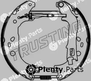 Trusting 6387 — Brake Shoe Set Kit premounted