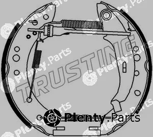 Trusting 6441 — Brake Shoe Set Kit premounted