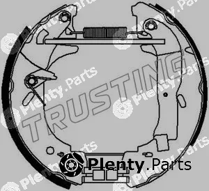 Trusting 6339 — Brake Shoe Set Kit premounted