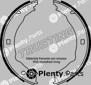 Trusting 079.193 — Brake Shoe Set, parking brake