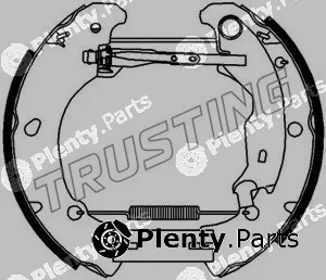 Trusting 6376 — Brake Shoe Set Kit premounted