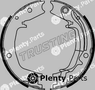 Trusting 046.215Y — Brake Shoe Set, parking brake