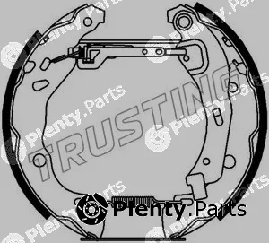Trusting 6219 — Brake Shoe Set Kit premounted