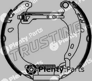 Trusting 6165 — Brake Shoe Set Kit premounted