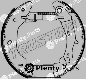 Trusting 6289 — Brake Shoe Set Kit premounted