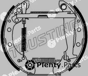 Trusting 6229 — Brake Shoe Set Kit premounted