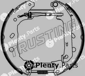 Trusting 6393 — Brake Shoe Set Kit premounted