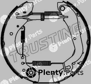 Trusting 6202 — Brake Shoe Set Kit premounted