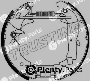 Trusting 6356 — Brake Shoe Set Kit premounted