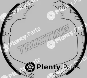 Trusting 124.290 — Brake Shoe Set