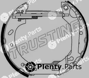 Trusting 6312 — Brake Shoe Set Kit premounted