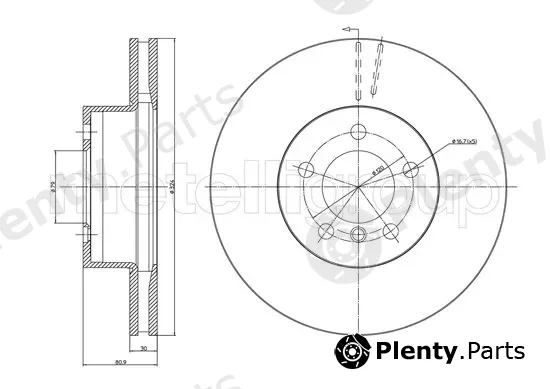 Trusting DF077 — Brake Disc