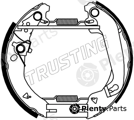Trusting 6552 — Brake Shoe Set Kit premounted