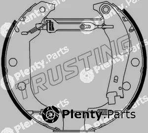 Trusting 6043 — Brake Shoe Set Kit premounted