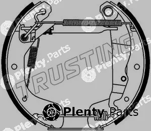 Trusting 6231 — Brake Shoe Set Kit premounted