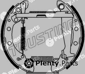 Trusting 6132 — Brake Shoe Set Kit premounted