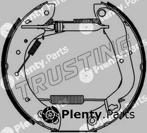 Trusting 6221 — Brake Shoe Set Kit premounted