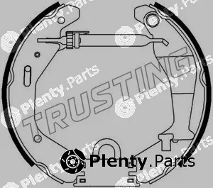 Trusting 6318 — Brake Shoe Set Kit premounted