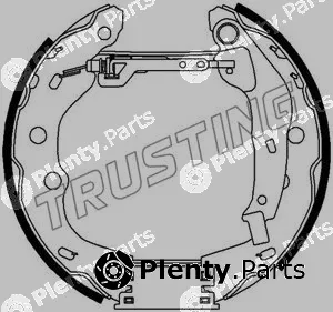 Trusting 6317 — Brake Shoe Set Kit premounted