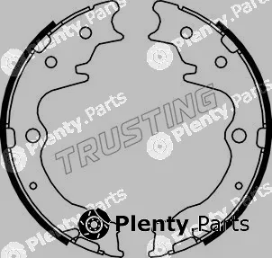 Trusting 049.163 — Brake Shoe Set, parking brake