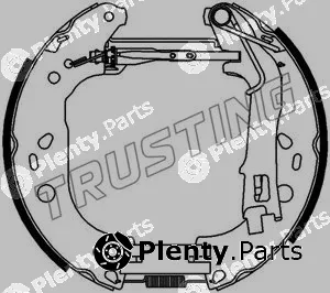 Trusting 6390 — Brake Shoe Set Kit premounted