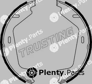 Trusting 127.273 — Brake Shoe Set, parking brake