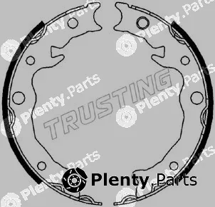 Trusting 110.343 — Brake Shoe Set, parking brake