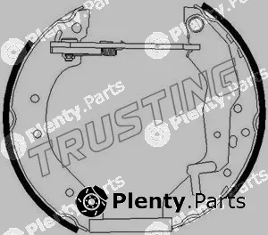 Trusting 6291 — Brake Shoe Set Kit premounted