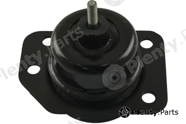 Kavo Parts EEM-1013 — Mounting, engine