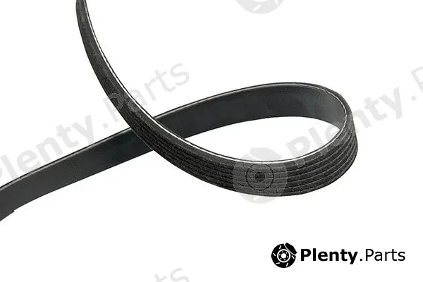 Kavo Parts DMV-8525 — V-Ribbed Belt