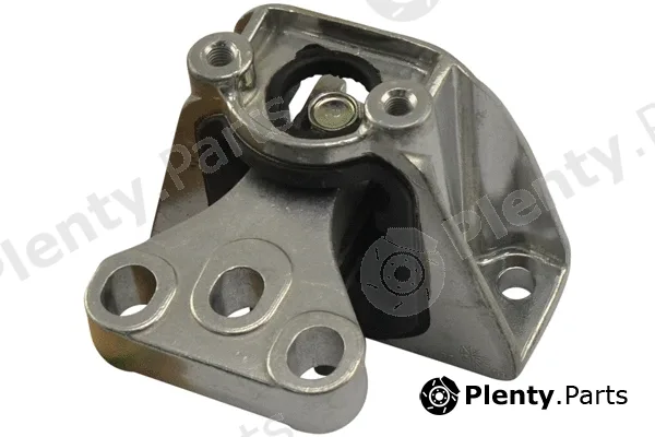 Kavo Parts EEM-2131 — Mounting, engine