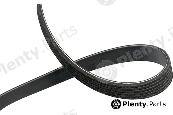 Kavo Parts DMV-2073 — V-Ribbed Belt
