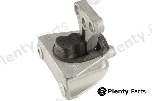 Kavo Parts EEM-2030 — Mounting, engine