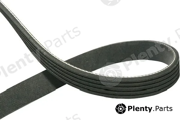 Kavo Parts DMV-5545 — V-Ribbed Belt
