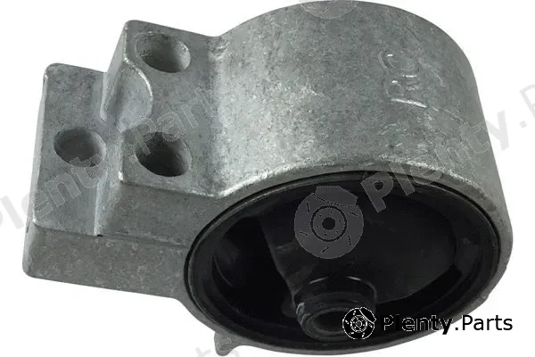 Kavo Parts EEM-2029 — Mounting, engine