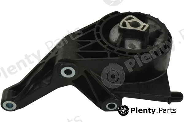 Kavo Parts EEM-1064 — Mounting, engine