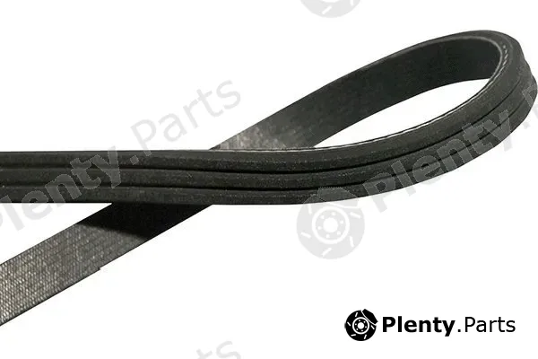 Kavo Parts DMV-6549 — V-Ribbed Belt